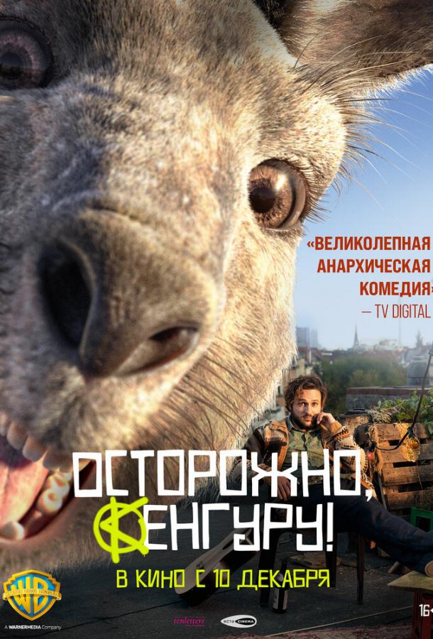 Осторожно, кенгуру!